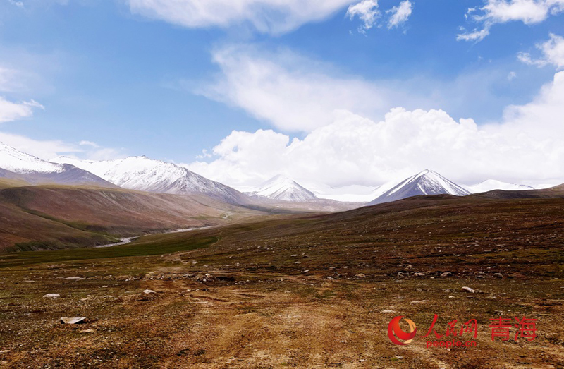 Цинхайда?ы Куньлунь тауыны? жаз?ы тынысы