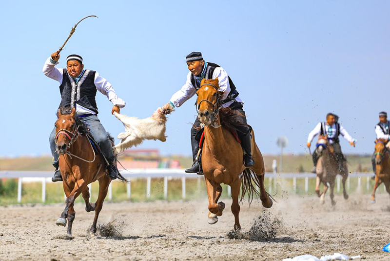 Жаз ортасында Шы?жа?ны? Мо???лк?ре ауданында т?мен т?лпар ж?й?тк?д?