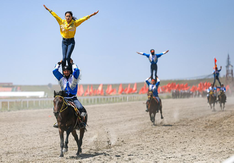 Жаз ортасында Шы?жа?ны? Мо???лк?ре ауданында т?мен т?лпар ж?й?тк?д?