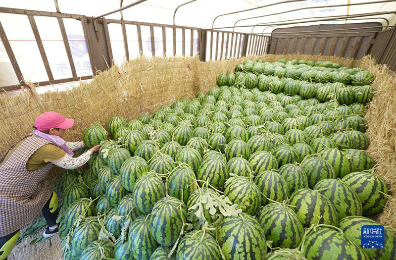 ?ытай ?лемдег? е? ?р? ?арбыз ?нд?руш? ?р? т?тынушы ел