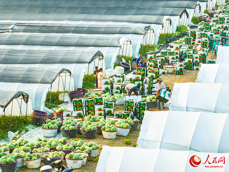 ?ытай ?лемдег? е? ?р? ?арбыз ?нд?руш? ?р? т?тынушы ел