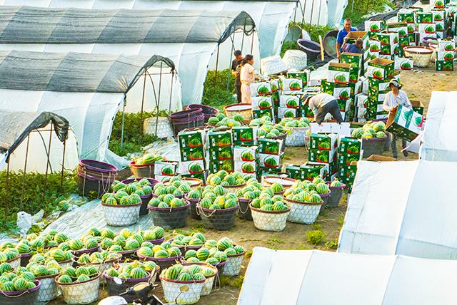 ?ытай ?лемдег? е? ?р? ?арбыз ?нд?руш? ?р? т?тынушы ел