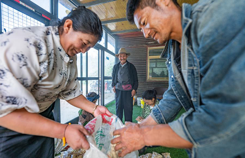 А?са?ал 25 жыл бойы Сицзан с?р маймылдарын к?з?н?? ?арашы?ындай ?ор?ап келед?