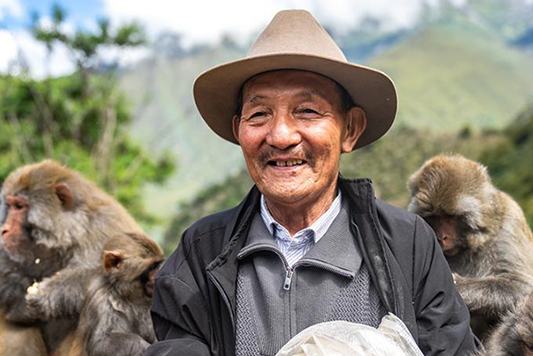 А?са?ал 25 жыл бойы Сицзан с?р маймылдарын к?з?н?? ?арашы?ындай ?ор?ап келед?