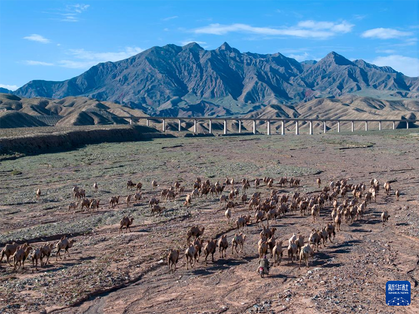 А?сай, Ганьсу: Т?йелер жайылым ауыстырды
