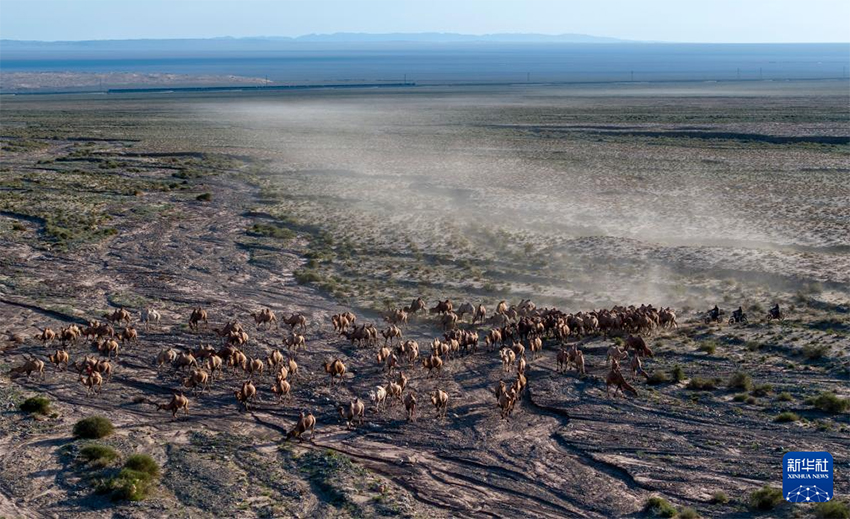 А?сай, Ганьсу: Т?йелер жайылым ауыстырды