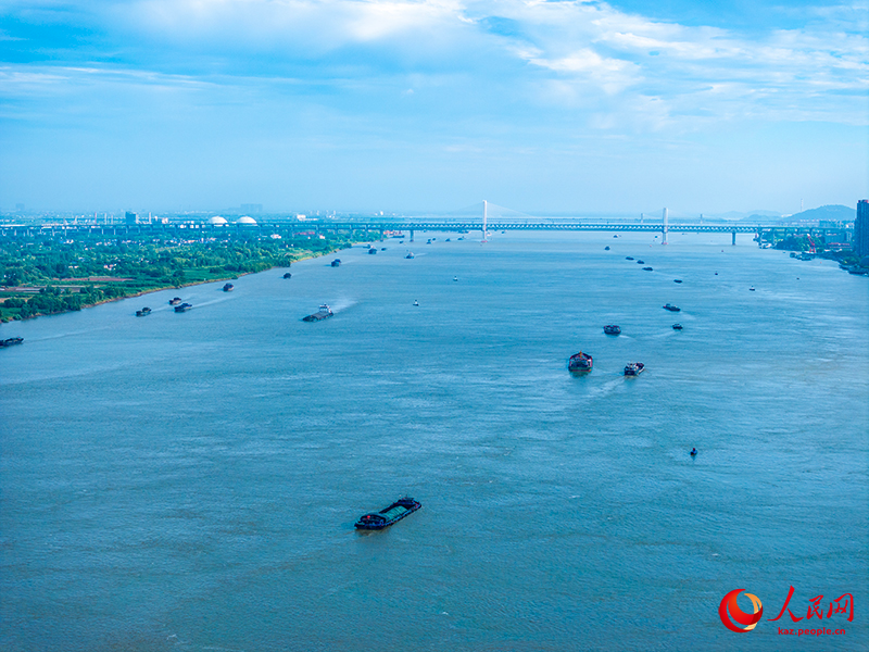 Янцзы ?зен?нде балы? аулау?а тыйым салын?ан он жылда те??з жануарларыны? саны айтарлы?тай ?ст?