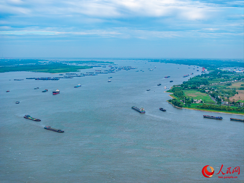 Янцзы ?зен?нде балы? аулау?а тыйым салын?ан он жылда те??з жануарларыны? саны айтарлы?тай ?ст?