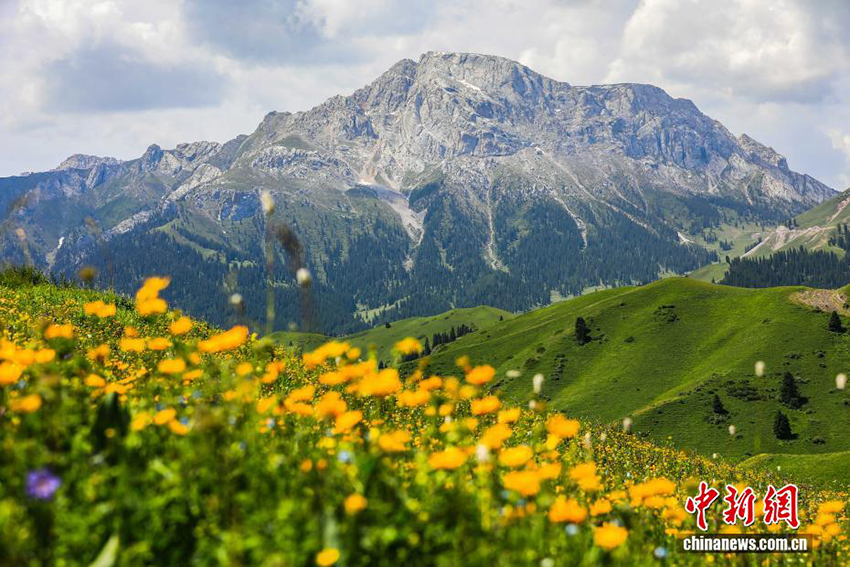 Шы?жа? ??лжа-Мо???лк?ре тасжолы: ?ажайып таби?атымен туристерд? ?ызы?тырады