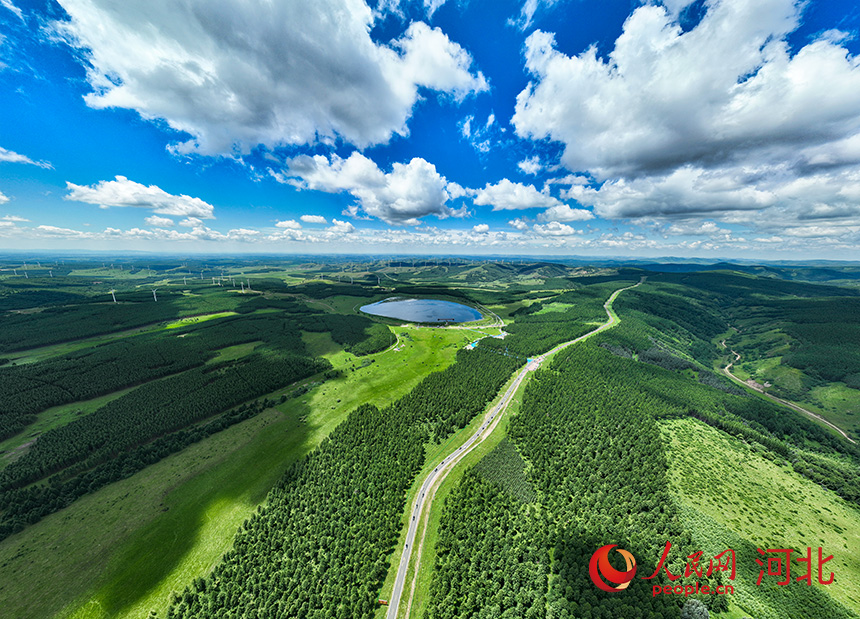 Сайханьба: ш?л даладан ?алы? орман?а дей?н