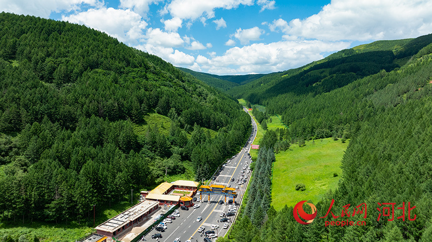 Сайханьба: ш?л даладан ?алы? орман?а дей?н