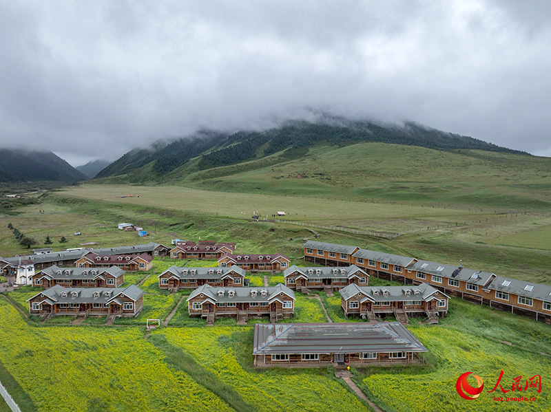 Ганьсу ?лкес? Шаньдань фермасында?ы жыл?ылар