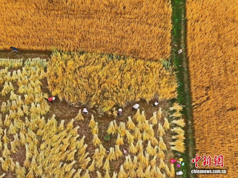 Цинхай ?лкес?н?? к?зг? кереметтер?