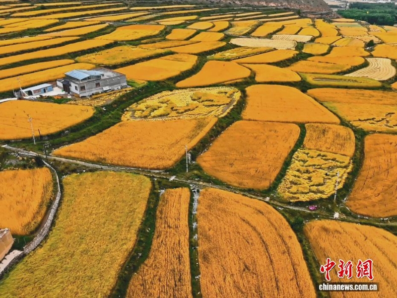 Цинхай ?лкес?н?? к?зг? кереметтер?