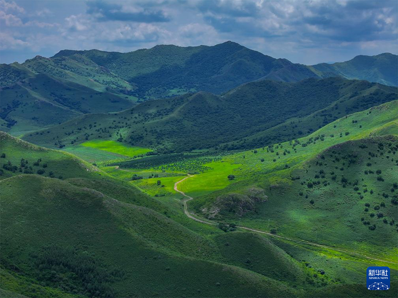 Ертег?дей ?лем – Залут жайлауы