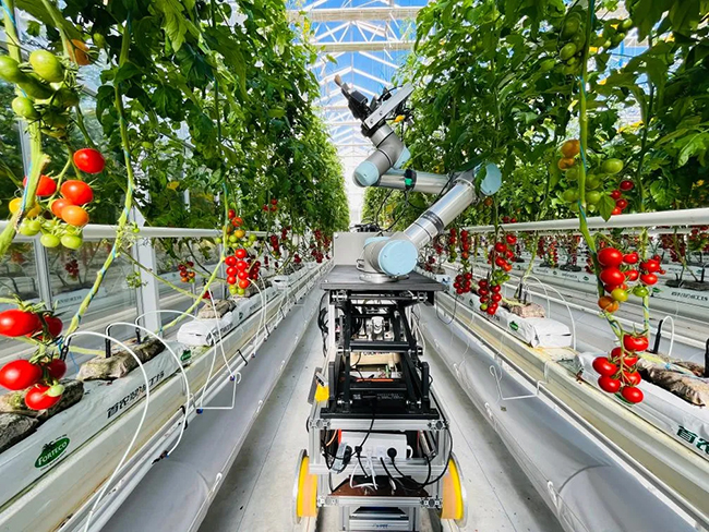 ?ытайда ?лемдег? ал?аш?ы ЖИ нег?з?ндег? селекциялы? робот жасалды