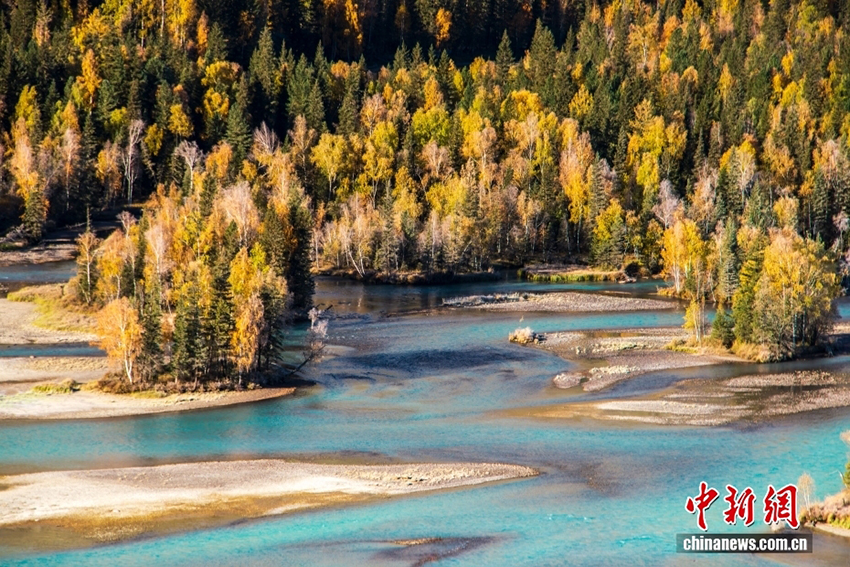 Алтай: Шы?жа?ны? солт?ст?г?ндег? т?ске оран?ан к?з