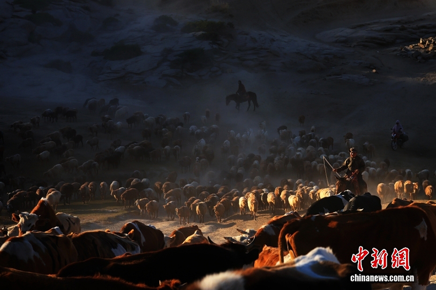 Алтай: Шы?жа?ны? солт?ст?г?ндег? т?ске оран?ан к?з