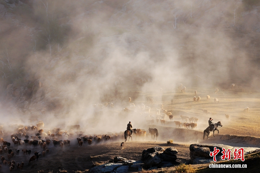 Алтай: Шы?жа?ны? солт?ст?г?ндег? т?ске оран?ан к?з