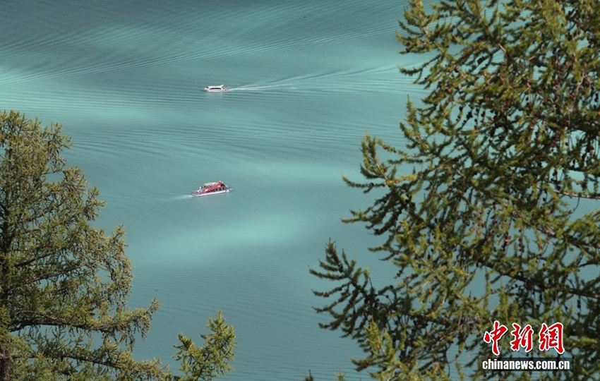 Алтай: Шы?жа?ны? солт?ст?г?ндег? т?ске оран?ан к?з