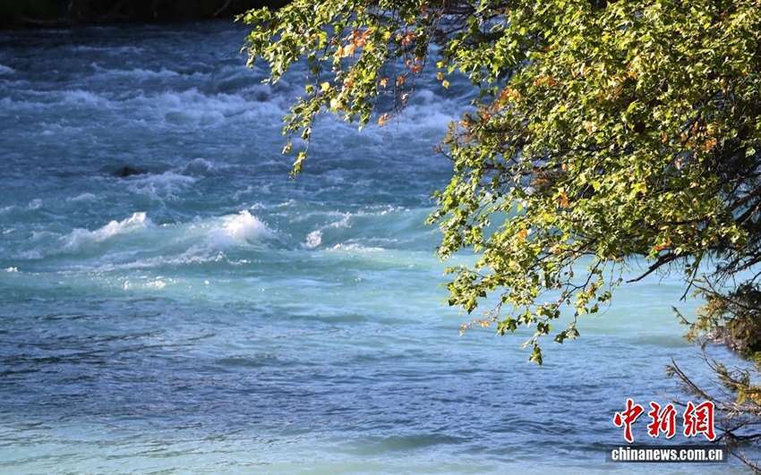 Алтай: Шы?жа?ны? солт?ст?г?ндег? т?ске оран?ан к?з