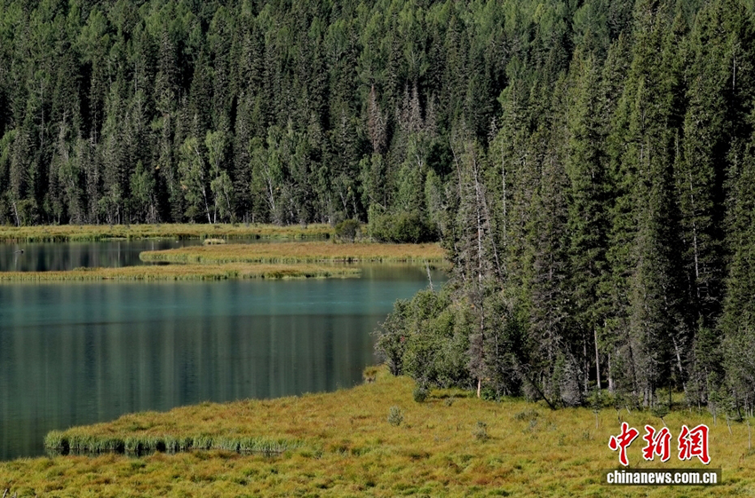 Алтай: Шы?жа?ны? солт?ст?г?ндег? т?ске оран?ан к?з