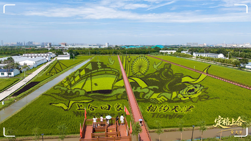 Тяньцзинь ШЫ? саммит?не дайынды? ж?мыстарын ??ыпты ж?рг?з?п жатыр