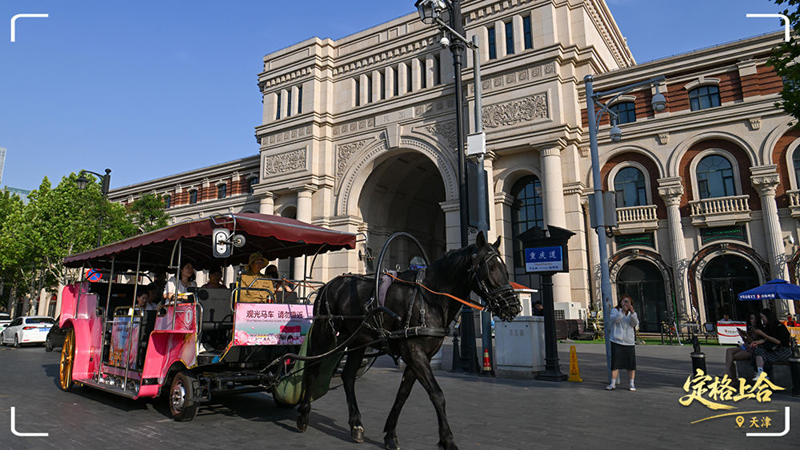 Тяньцзинь ШЫ? саммит?не дайынды? ж?мыстарын ??ыпты ж?рг?з?п жатыр