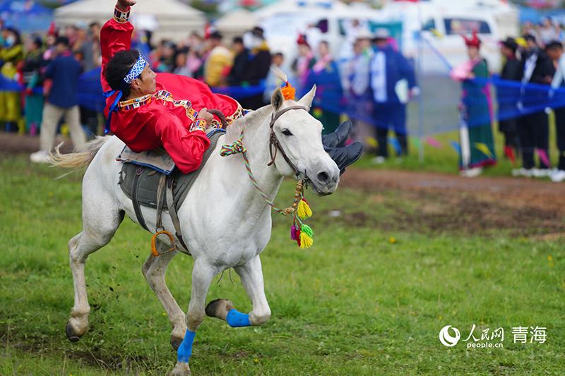 Жайлауда?ы желмен жарыс?ан жыл?ылар