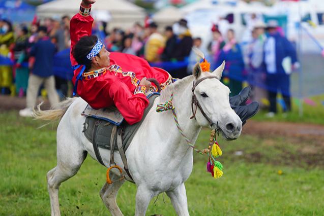 Жайлауда?ы желмен жарыс?ан жыл?ылар